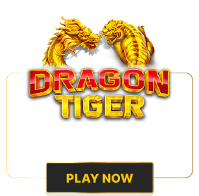 dragon tiger image