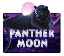 panther moon