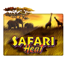 safari heat
